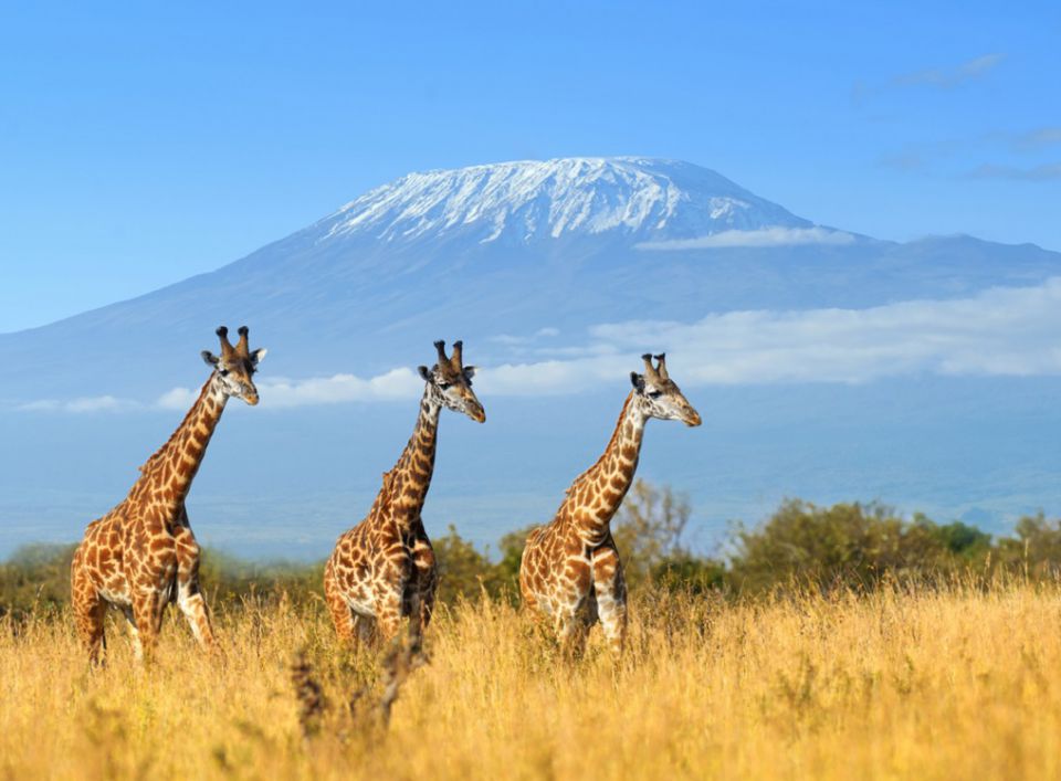 Kenya : séminaire aventure 