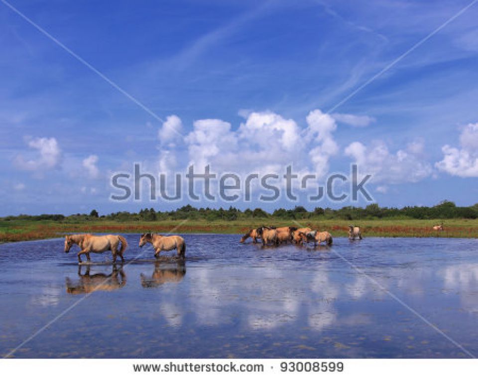 Séminaire au Bay Ranch 